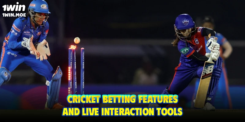 Cricket betting features and live interaction tools